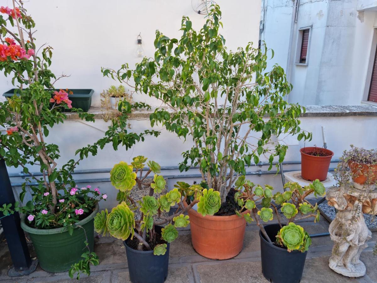 Green Palace 브린디시 외부 사진